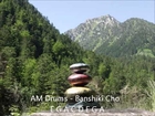 AM Drums - steel tongue drums - Banshiki Cho