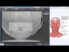 Setting Up Facial Bones For Animation