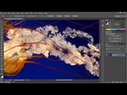 How to Use Zoom Tool in Photoshop CS6