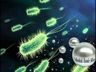 How Colloidal Silver kills Germs. Size Does Matter!