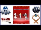 Search Engine Optimization Blog Case Study Continues 10