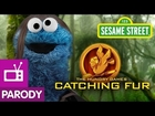 Sesame Street: The Hungry Games- Catching Fur (Hunger Games: Catching Fire Parody)