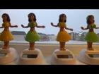 Solar Powered Hula Dancing Girls