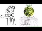 Medical Marijuana Jobs | Learn How To Grow Weed & Get A Degree!