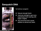 Sasquatch DNA Prohormone Review by Xcel Sports Nutrition